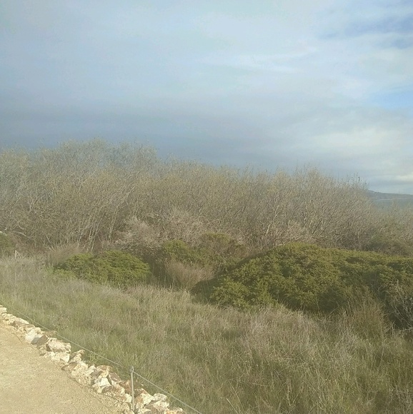 Meet your Posher, Robin - Picture 1 of 1